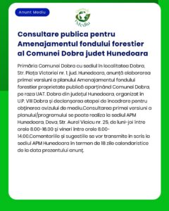 Consultare publică pentru Amenajamentul fondului forestier al Comunei