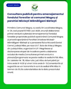 Consultare publică pentru amenajamentul fondului forestier al comunei