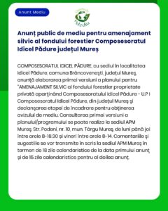 Anunț public de mediu pentru amenajament silvic al fondului forestier