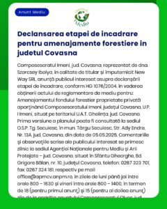 Declansarea etapei de incadrare pentru amenajamente forestiere in jude