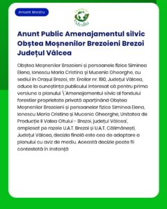 Nu s-a furnizat textul anunțului