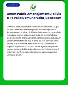 Planul de amenajament silvic pentru UAT Voila județul Brașov este disponibil pentru consultare și depunere observații în perioada specificată în anunț