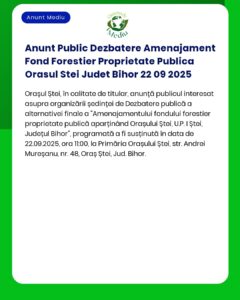 Anunt Public Dezbatere Amenajament Fond Forestier Proprietate Publica