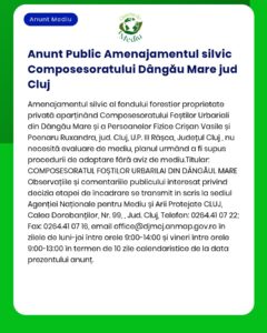 Planul de management al pădurii Dângău Mare