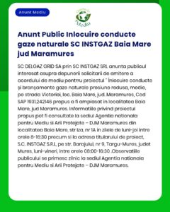 Înlocuire branșamente gaze naturale la imobile situate pe strada Victoriei