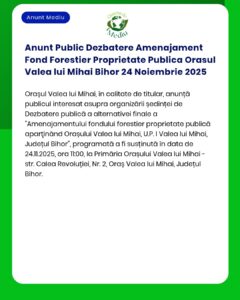 Anunt Public Dezbatere Amenajament Fond Forestier Proprietate Publica