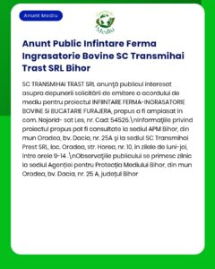 Anunț privind înființarea unei ferme de îngrășare bovine la Oradea, detalii despre proiect.