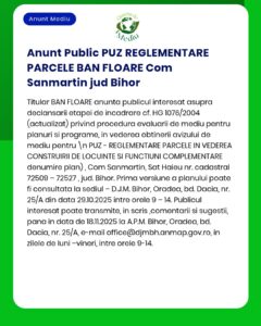 Plan Urbanistic Zonal - construire locuințe și funcțiuni complementare în comuna Sânmartin județul Bihor