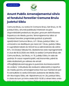Anunț privind aprobarea amenajamentului fondului forestier pentru comuna Bruiu, Sibiu, cu detalii despre proiect și raportul de mediu.