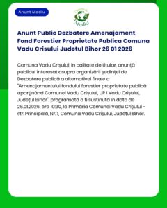 Anunt Public Dezbatere Amenajament Fond Forestier Proprietate Publica