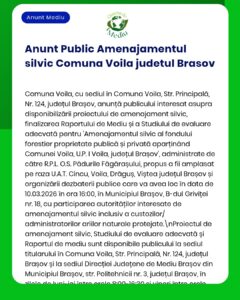 Anunț privind disponibilitatea unui proiect silvic în Comuna Voila, Brașov, cu detalii despre procesul administrativ și evaluare.