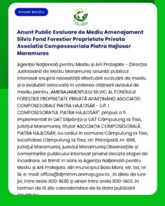 Anunt Public Evaluare de Mediu Amenajament Silvic Fond Forestier Propr