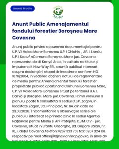 Anunț privind solicitarea avizului de mediu pentru fondul forestier Borșoneu Mare, Covasna. Detalii părți și act legal.