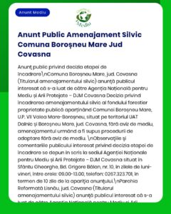 Anunț privind gestionarea pădurilor în Borosneu Mare, județul Covasna.