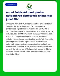 Proiect adăpost public pentru animale fără stăpân în județul Alba, România; prezintă scopuri și locație proiect.