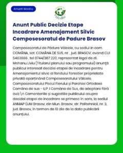 Anunț oficial privind etapele deciziei de gestionare a pădurii din Compusoratul de Pădure Răcăleț, Comăna de Sus, Brașov.