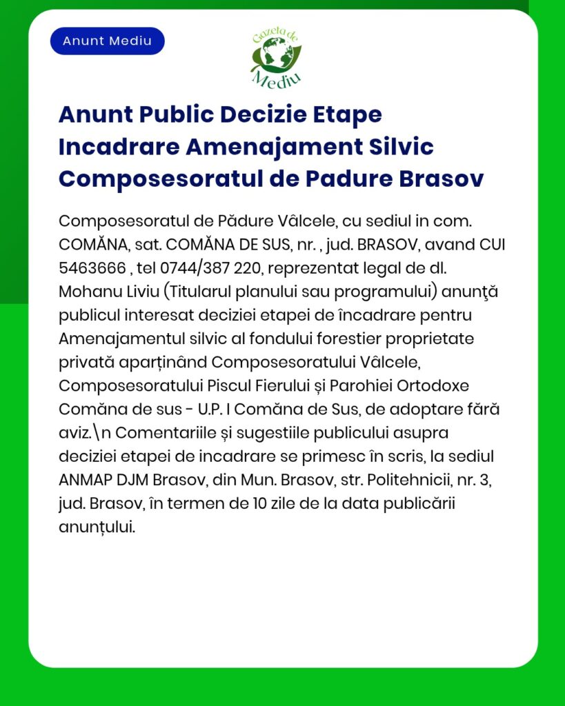 Anunț oficial privind etapele deciziei de gestionare a pădurii din Compusoratul de Pădure Răcăleț, Comăna de Sus, Brașov.