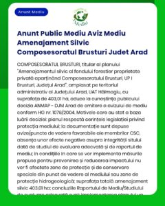 Anunt Public Mediu Aviz Mediu Amenajament Silvic Composesoratul Brustu