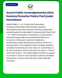 Anunț privind un proiect de amenajare forestieră în județul Hunedoara.