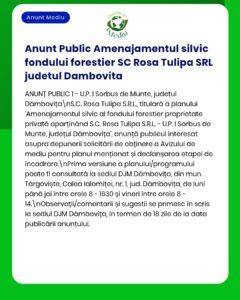 Anunț privind gestionarea pădurilor realizată de S.C. Rosa Tulipa SRL în județul Dâmbovița, cu detalii despre procedura de depunere a opiniilor și a solicitărilor de informații.