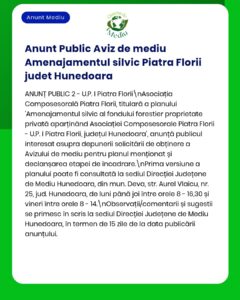 Anunț privind un proiect forestier în Piatra Florii, județul Hunedoara, cu informații despre depunerea cererii la APM.