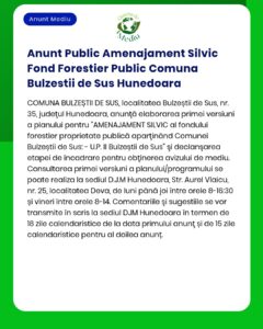 Anunt Public Amenajament Silvic Fond Forestier Public Comuna Bulzestii