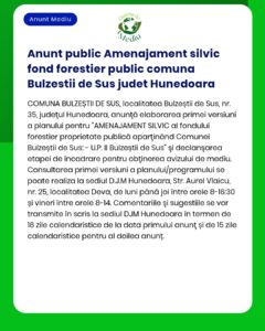 Anunt public Amenajament silvic fond forestier public comuna Bulzestii