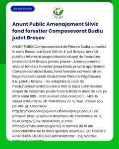 Anunt Public Amenajament Silvic fond forestier Composesorat Budiu jude