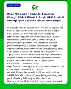 Regia Naţională a Pădurilor Romsilva Direcţia Silvică Sibiu U P I Brad