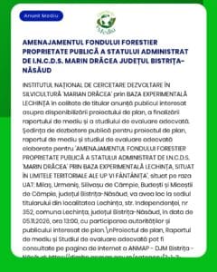 Anunț privind consultarea mass-media cu privire la gestionarea durabilă a fondului forestier din județul Bistrița-Năsăud.