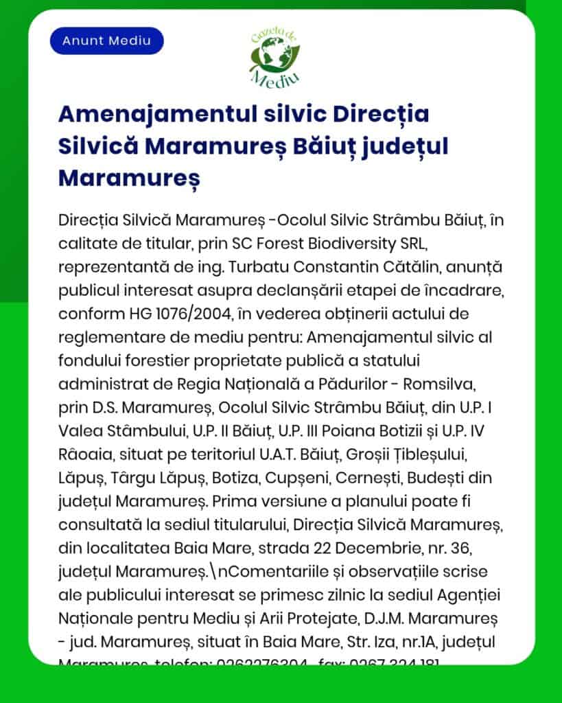 Amenajarea silvică – Direcția Silvică Maramureș Băiuț: reglementarea fondului forestier și delimitarea unităților administrativ-teritoriale.